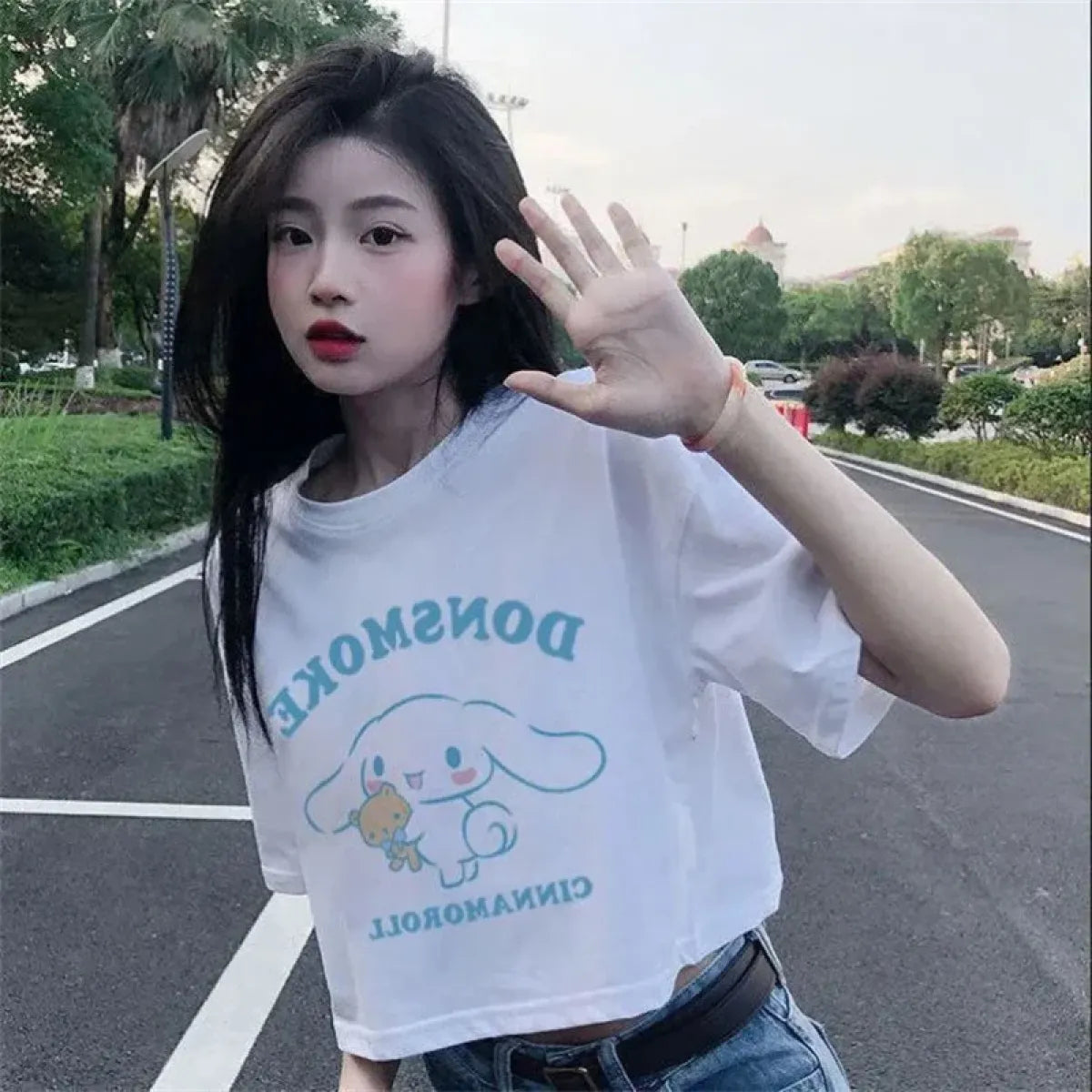 Harajuku Cinnamoroll Crop Top