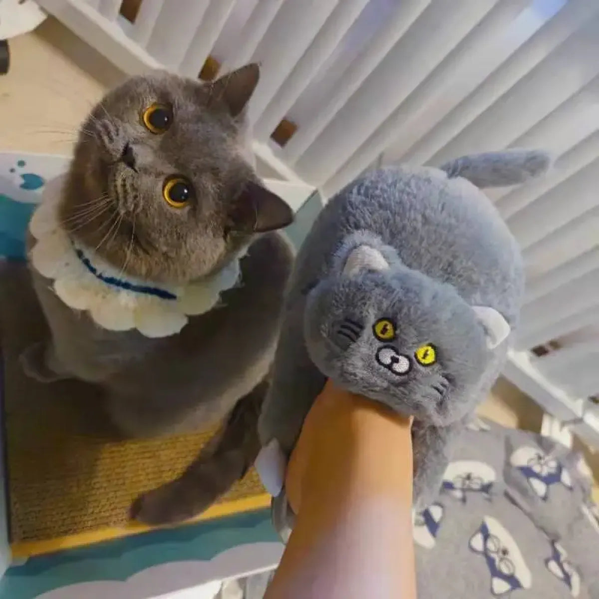 Kawaii Cat Winter Slippers for Women & Men