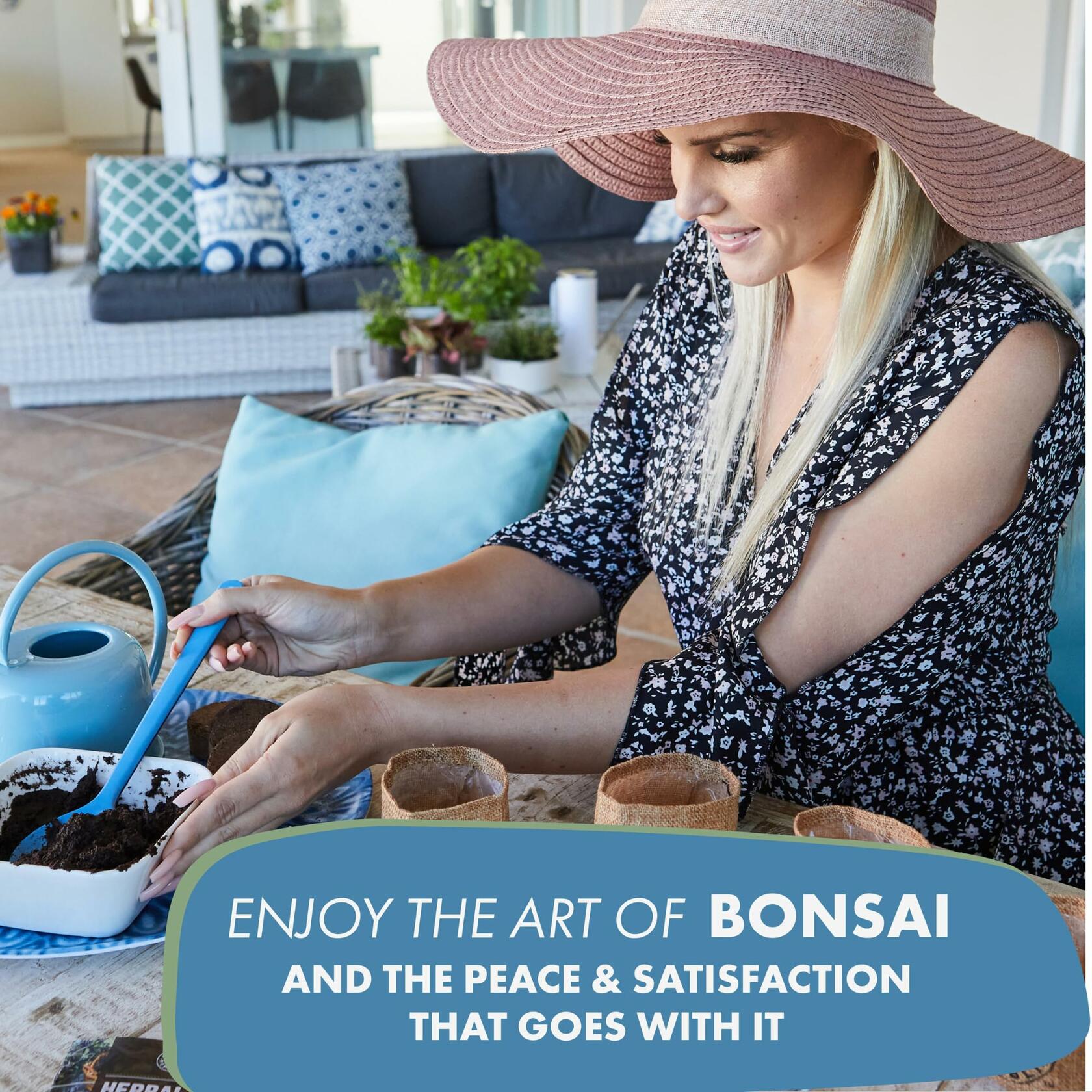 Garden Republic Medium Bonsai Tree Kit Grow 3 Mini Trees Indoor Green Brown