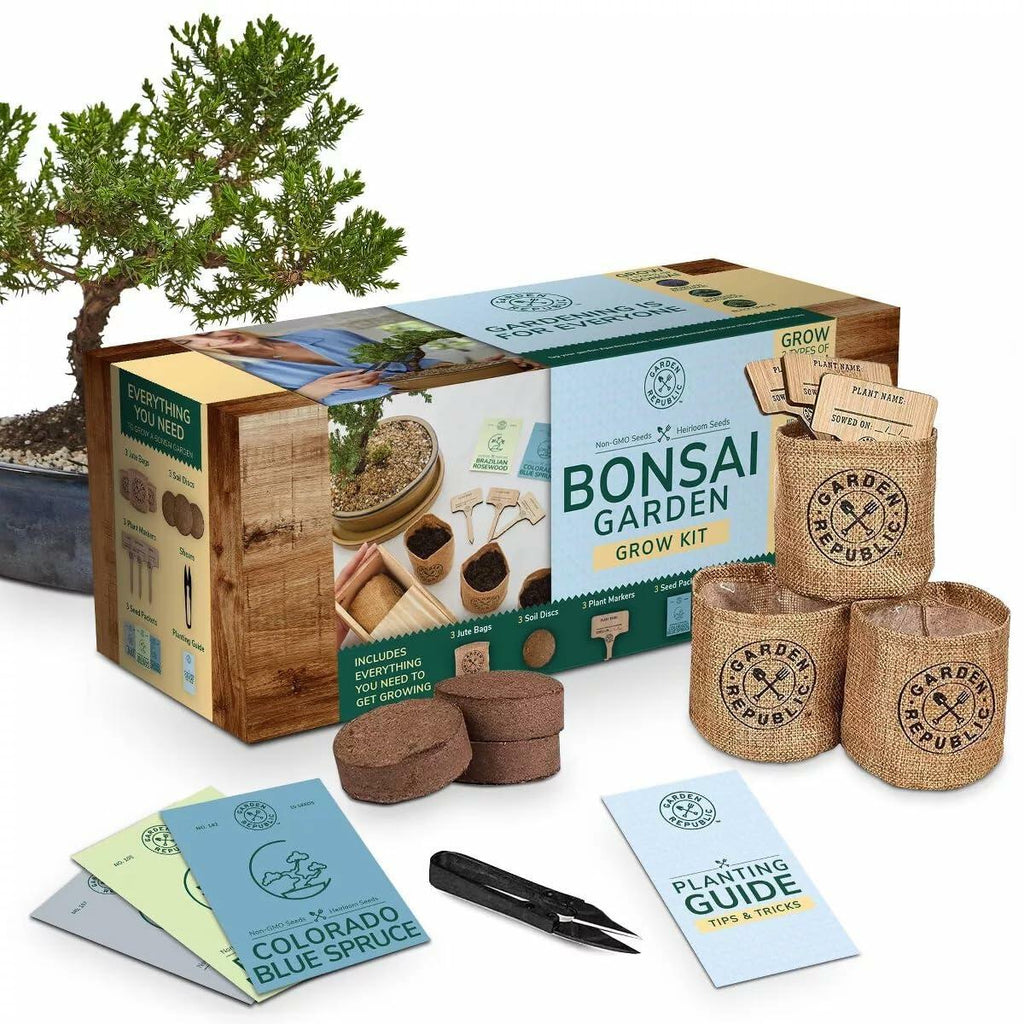 Garden Republic Medium Bonsai Tree Kit Grow 3 Mini Trees Indoor Green Brown
